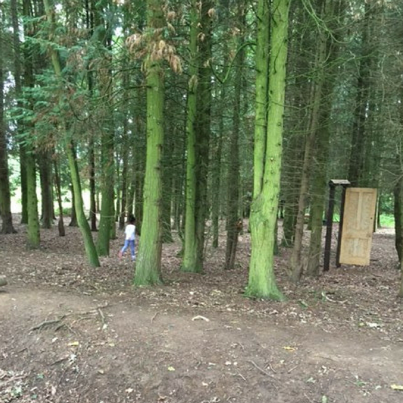 A Look at Willowbrook Farm Amaliah