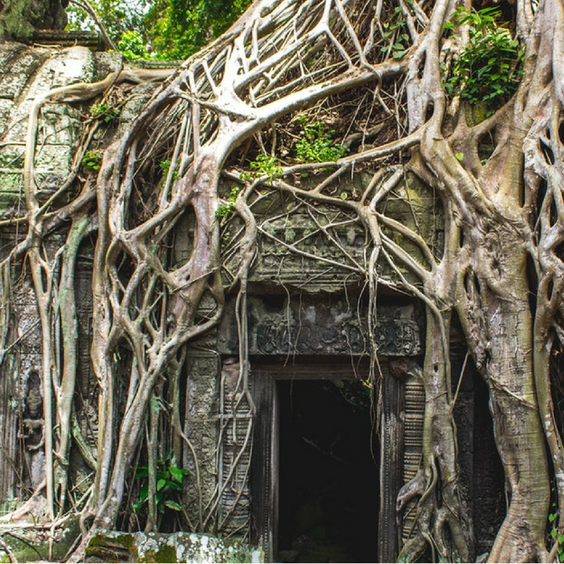cambodia