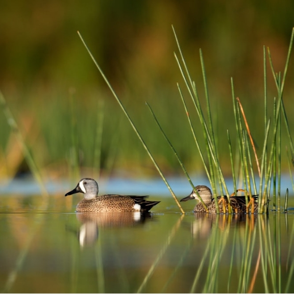 Short Reads My Secret Women Only Safe Space in Hampstead Heath… Amaliah
