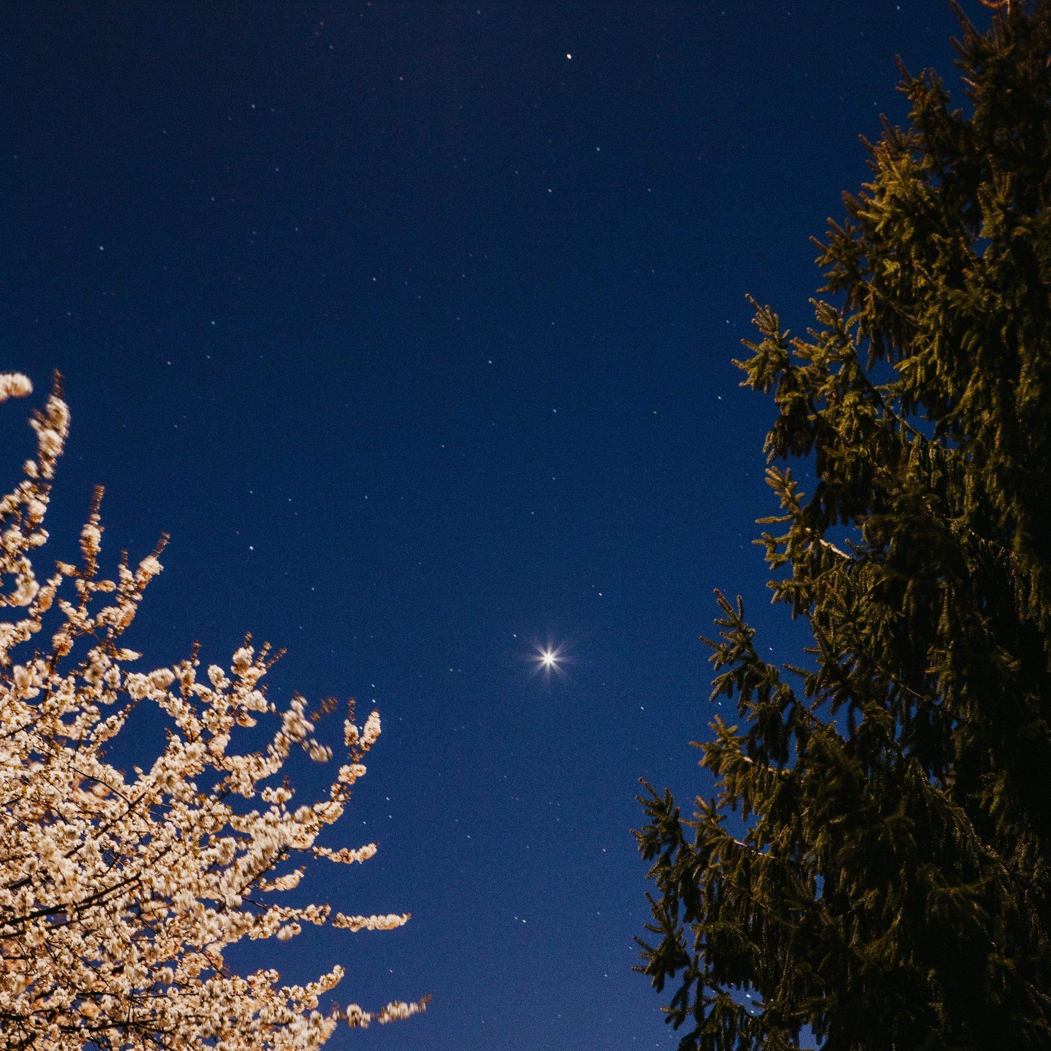 Amaliah Allahs names