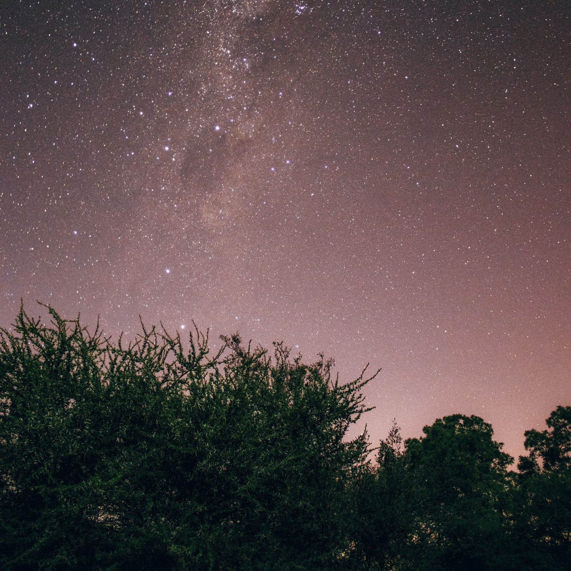 how-to-pray-tahajjud-and-the-benefits-of-this-beautiful-prayer-amaliah