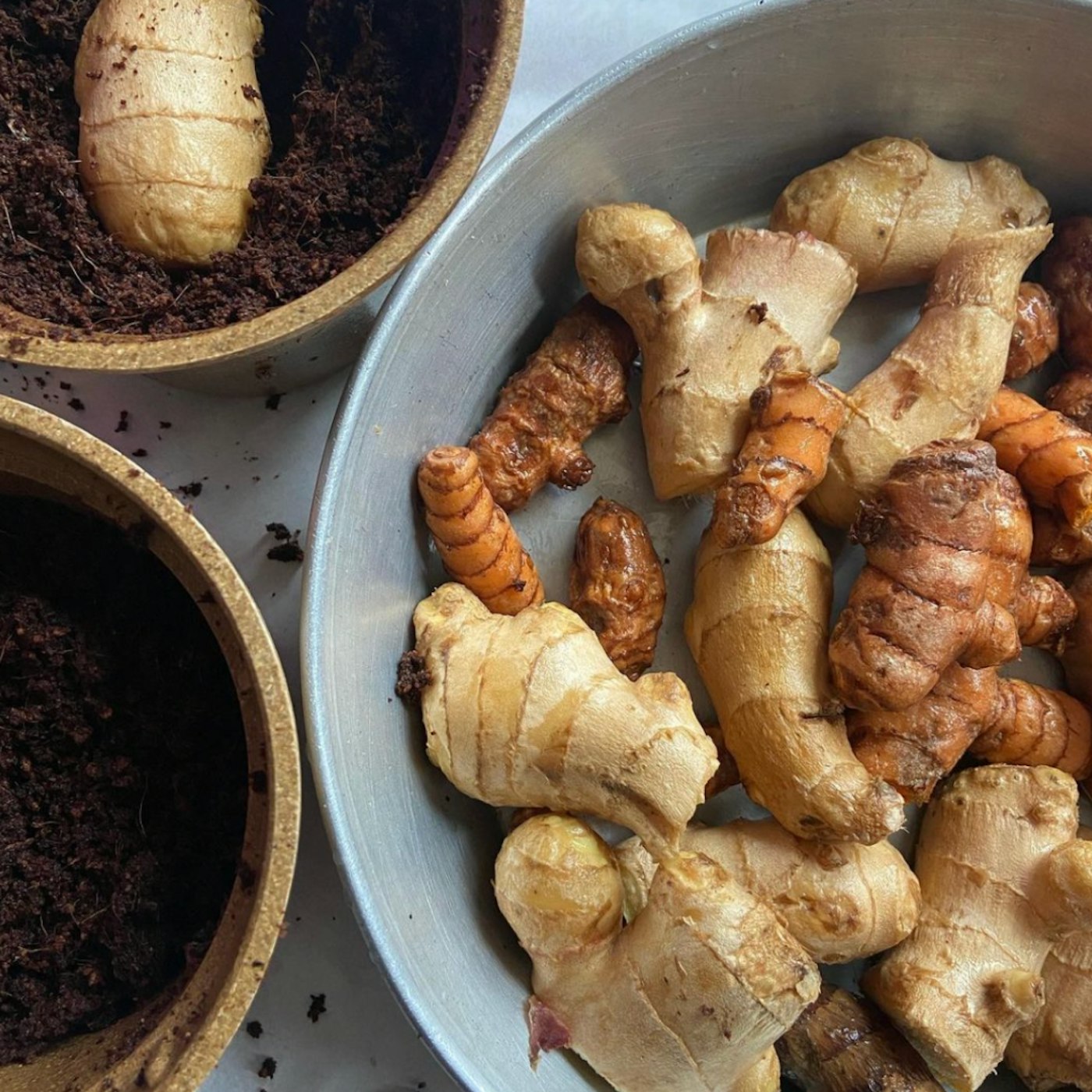 ginger and turmeric in a bowl
