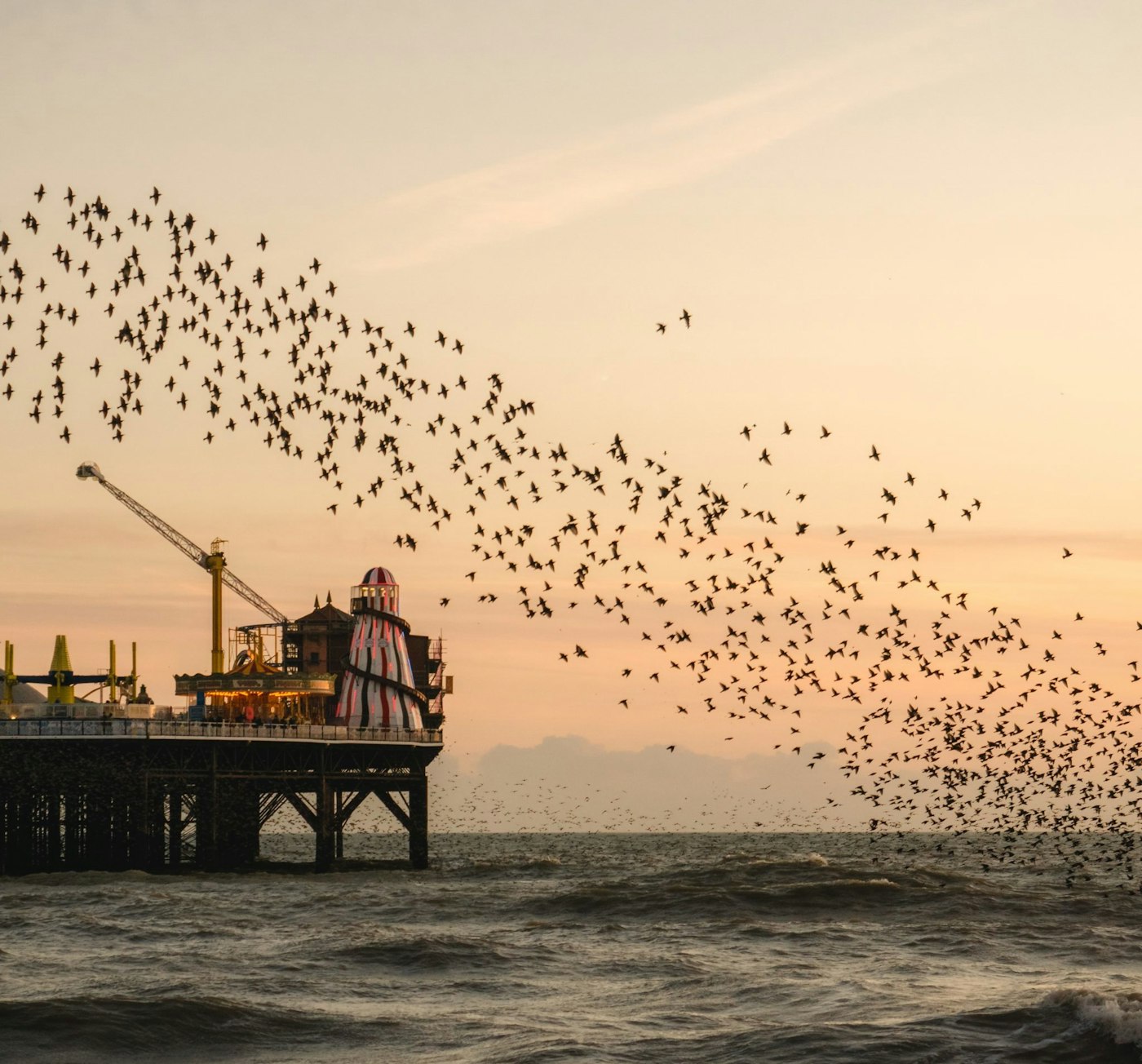flock-of-birds-flying-at-sunset-with-pier-in-background