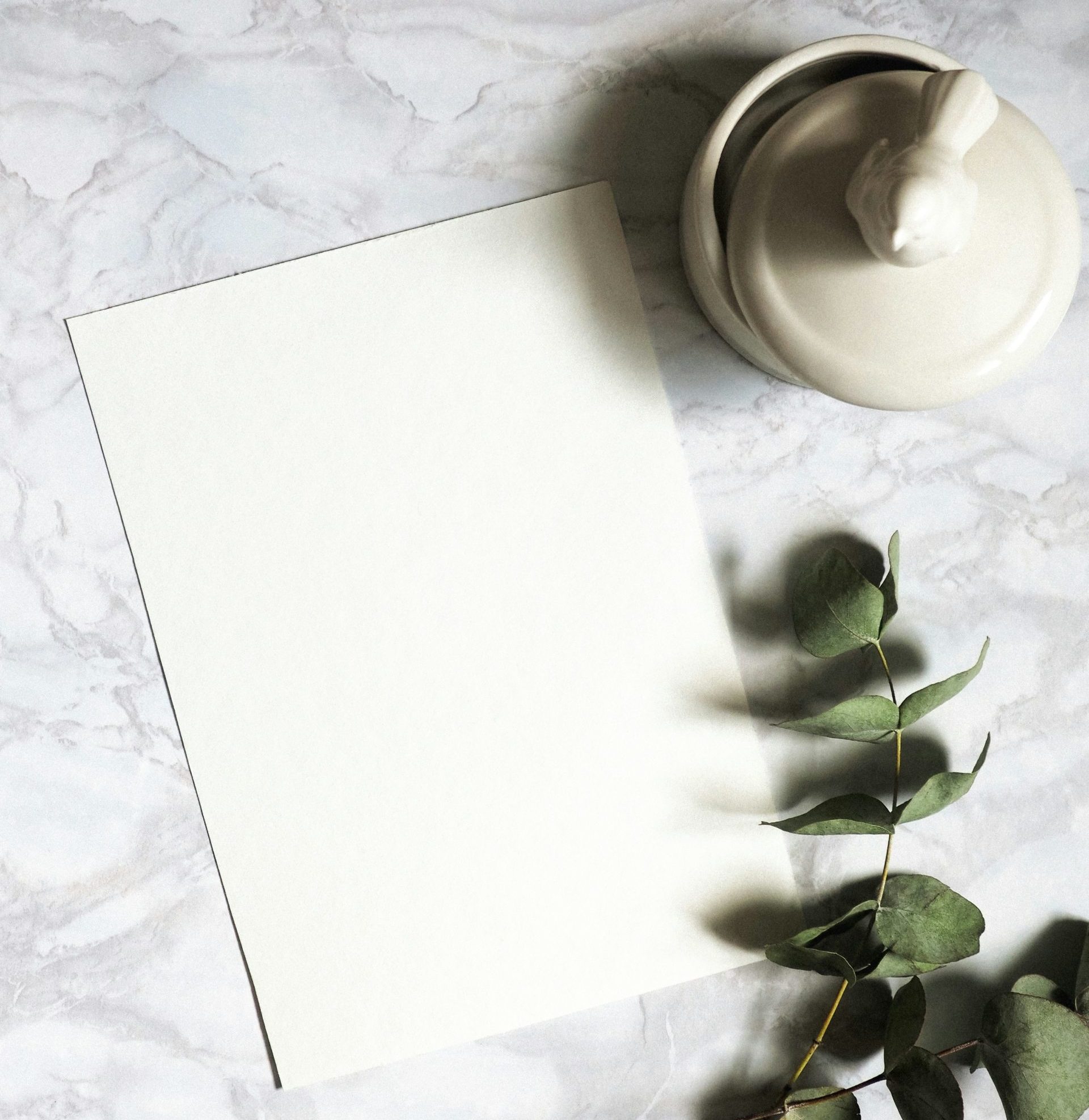 Image showing a plain thick card paper on a marbled surface with a white pot and green stem next to it on the right side. For agony aunt query about struggles of wearing hijab at home