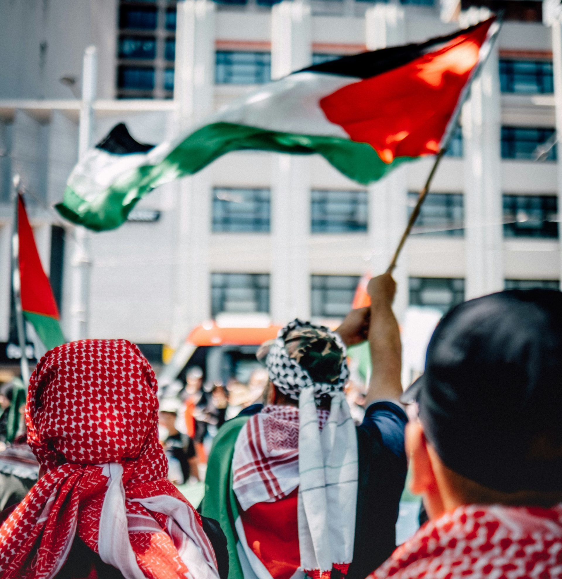 image shows back of head of protestors carrying Palestinian flags and wearing red and black keffiyeh