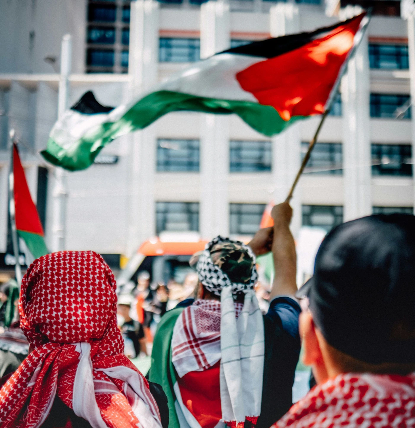 image shows back of head of protestors carrying Palestinian flags and wearing red and black keffiyeh