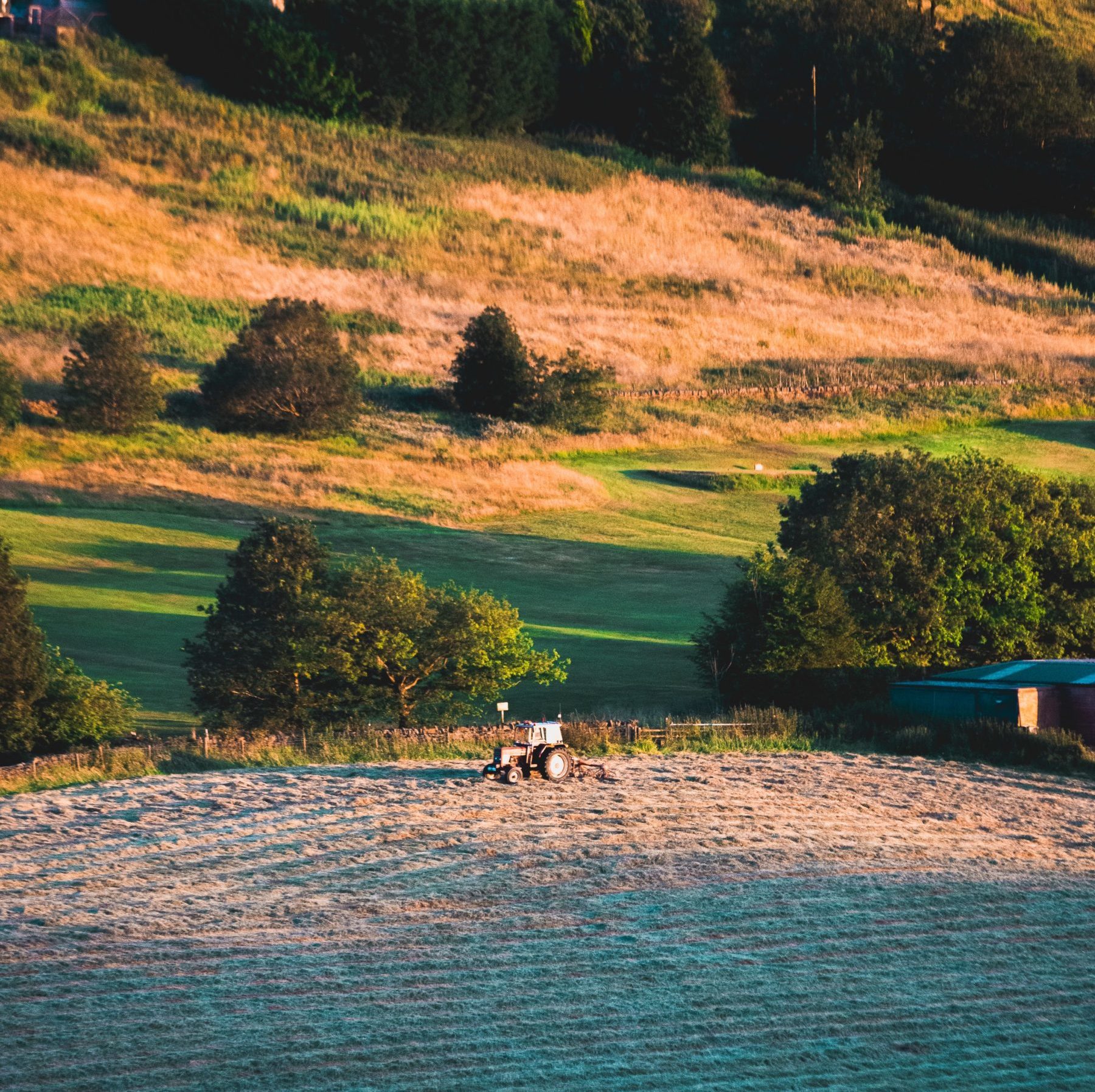 UK farm, rural, heatwave 
