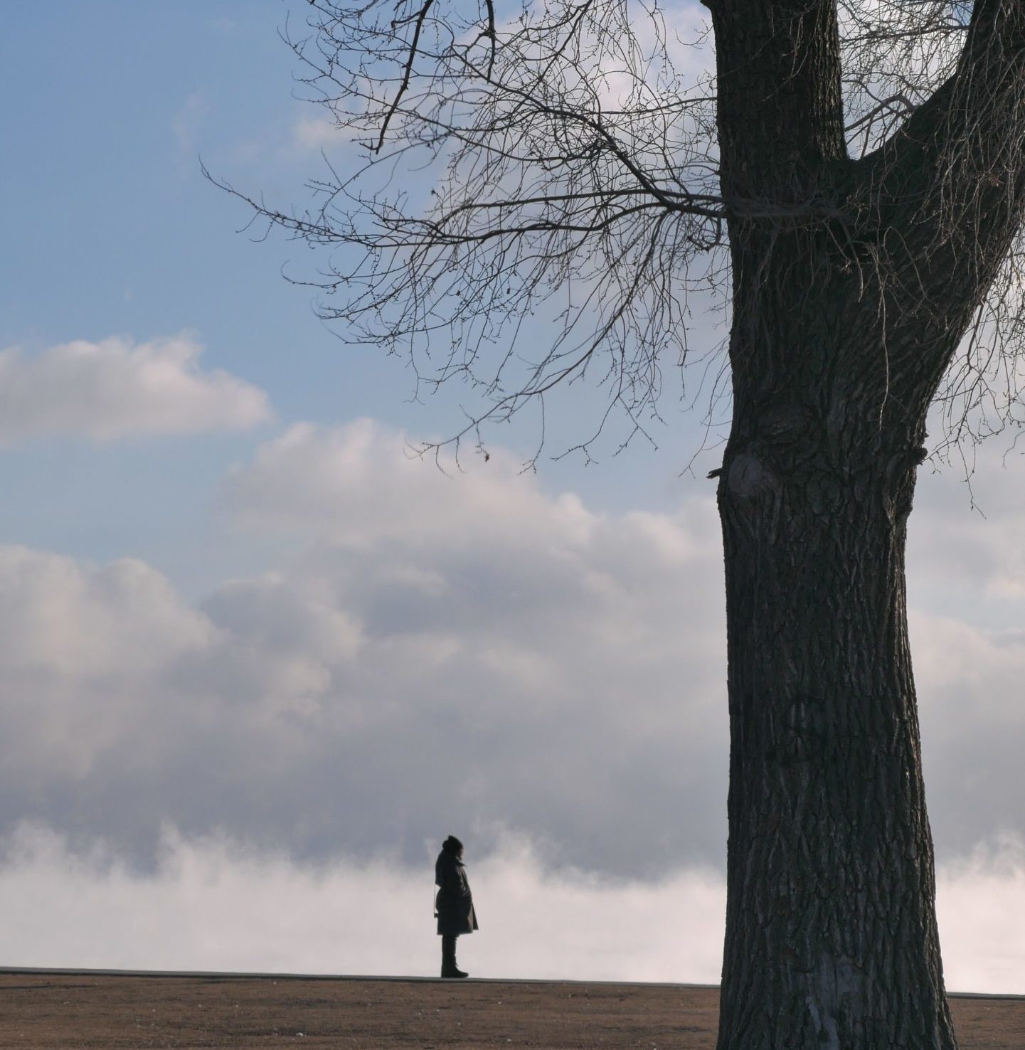 A lone figure stands next to a bare tree under a cloudy winter sky.
eldest daughter loneliness